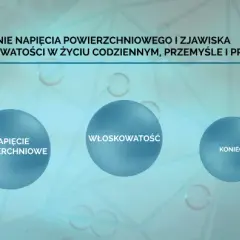 Fascynujące zjawisko włoskowatości: poznaj mechanizm i rolę w przyrodzie