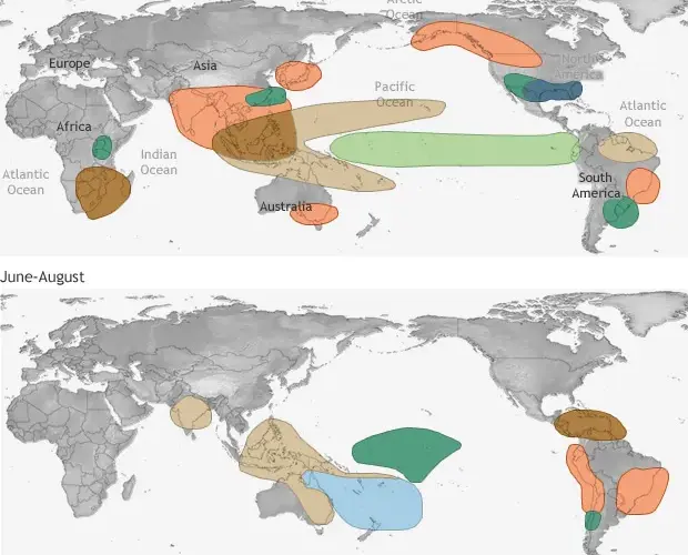 Zjawisko El Niño - poznaj największe zagrożenie dla światowego klimatu