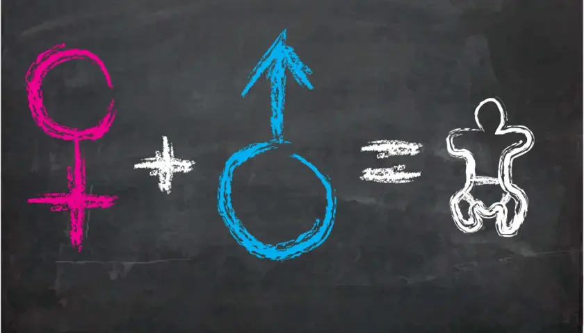 Edukacja seksualna w szkołach: Jak ją wdrażać?