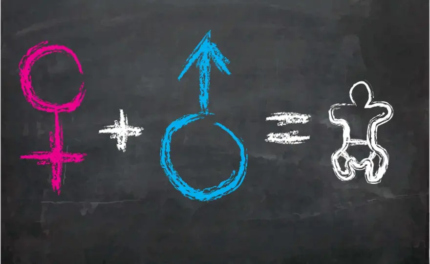 Edukacja seksualna w szkołach: Jak ją wdrażać?
