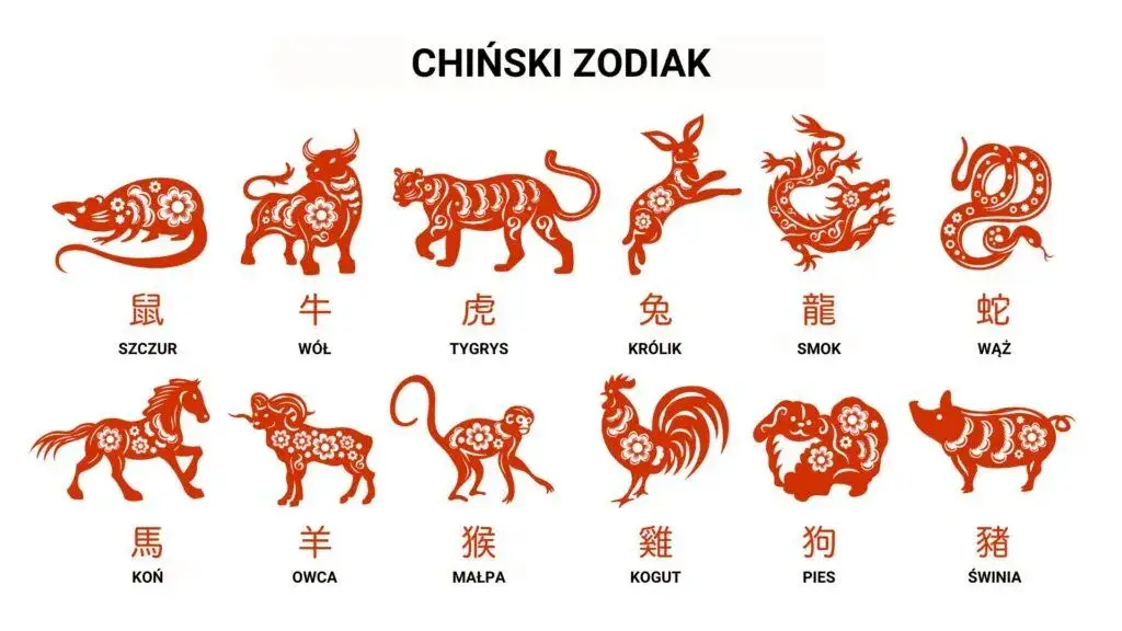 Zdjęcie Zodiak, w którym geniusze się najczęściej pojawiają